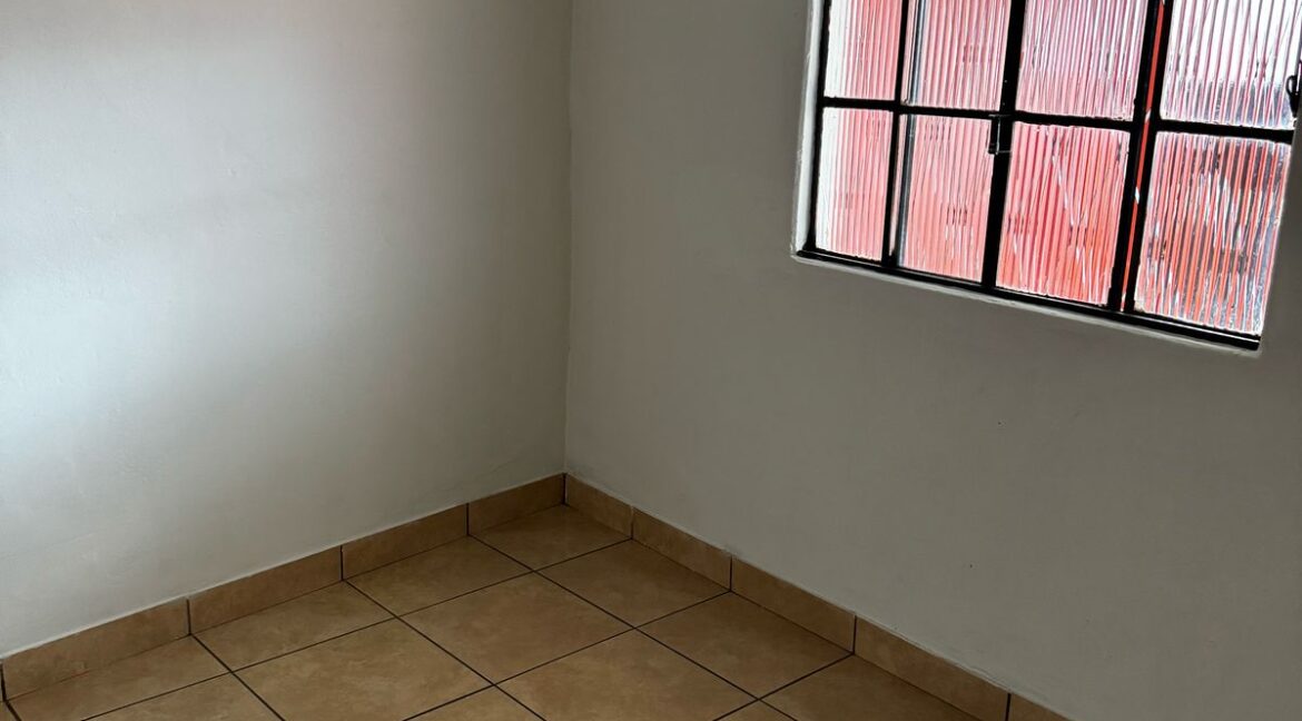 Imagem do WhatsApp de 2025-03-11 à(s) 12.11.32_badf47b4
