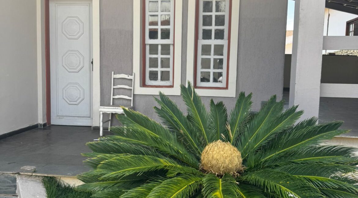 WhatsApp Image 2025-12-02 at 15.55.27