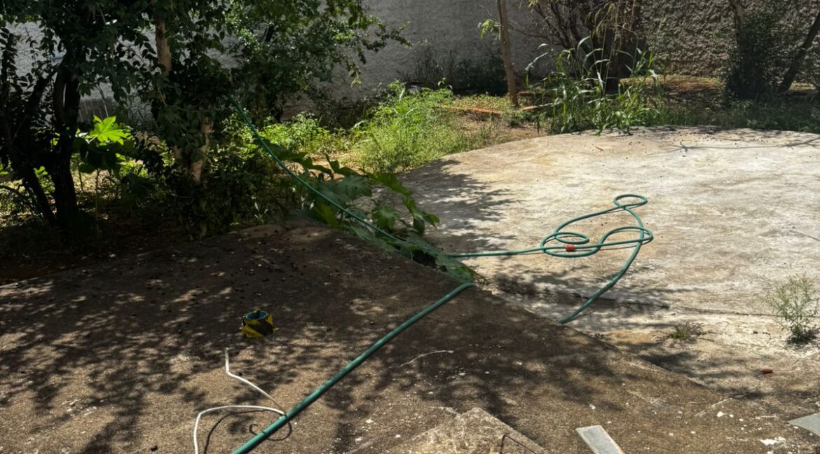 WhatsApp Image 2025-12-02 at 15.55.28