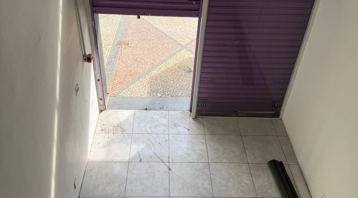 WhatsApp Image 2026-03-11 at 15.38.00