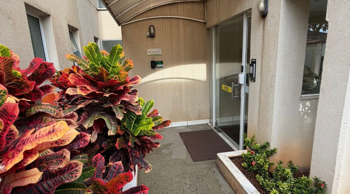 WhatsApp Image 2026-03-19 at 16.51.51