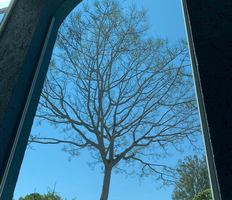 1d97aa0c-e602-472a-9d61-37dd139f0c08 (1) - Copia